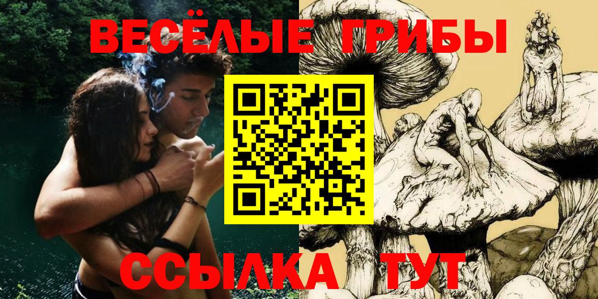 Псилоцибиновые грибы ЛСД  Вход с VPN  купить   Черкесск 